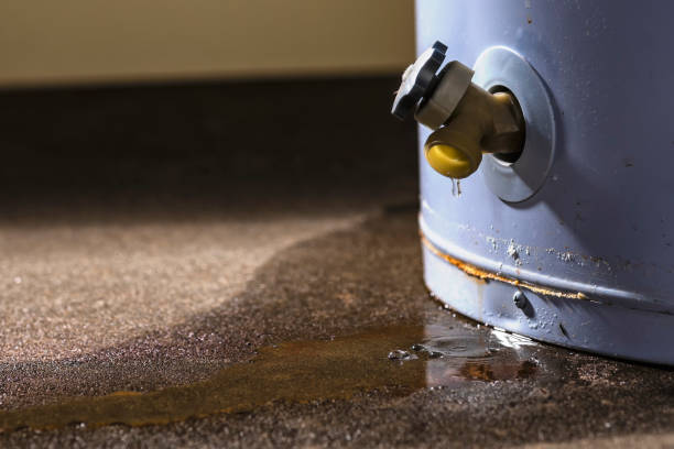 Best Ceiling water damage repair  in Sheldon, IA