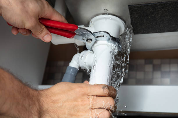 Best Local water damage restoration  in Sheldon, IA