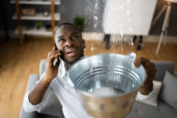 Best Local water damage restoration  in Sheldon, IA