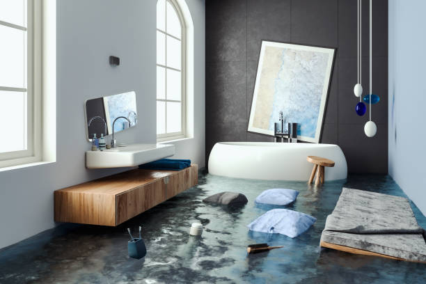 Best Water damage cleanup near me  in Sheldon, IA