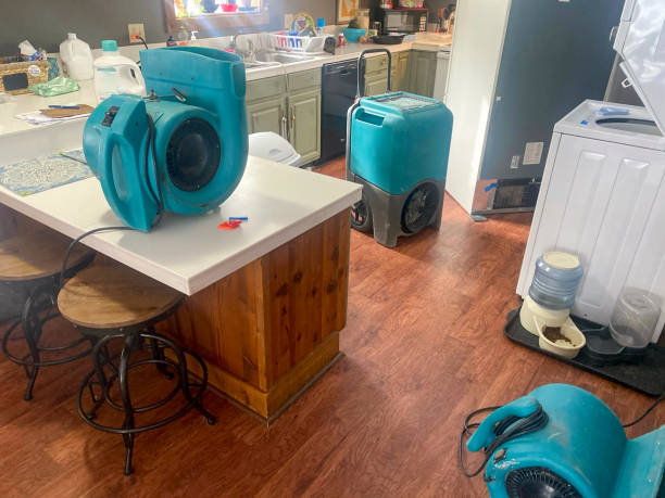 Best Ceiling water damage repair  in Sheldon, IA