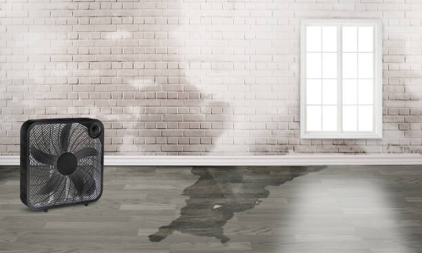  Sheldon, IA Water damage restoration Pros