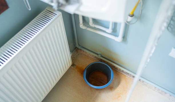 Best Water damage restoration near me  in Sheldon, IA