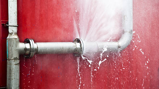 Best Water damage restoration near me  in Sheldon, IA