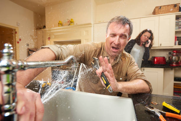 Best Fire Damage Restoration  in Sheldon, IA